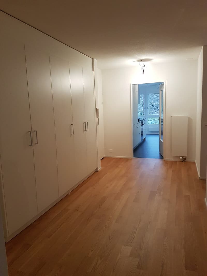 neu sanierte 3.5-Zimmer-Wohnung mit zwei Balkonen (4)