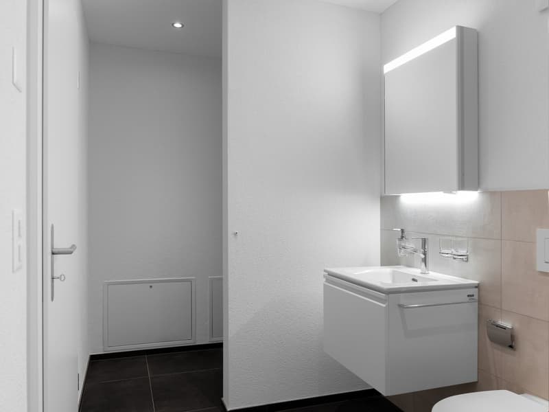Moderne und grosszügige 2 1/2-Zimmer-Wohnung mit Balkon (17)