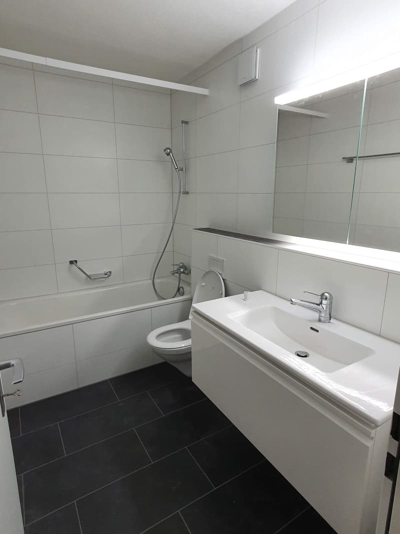 Moderne 2.5-Zimmerwohnung im Grünen (7)