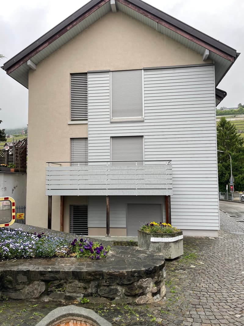 Charming 3-room apartment in Corsier-sur-Vevey (1)
