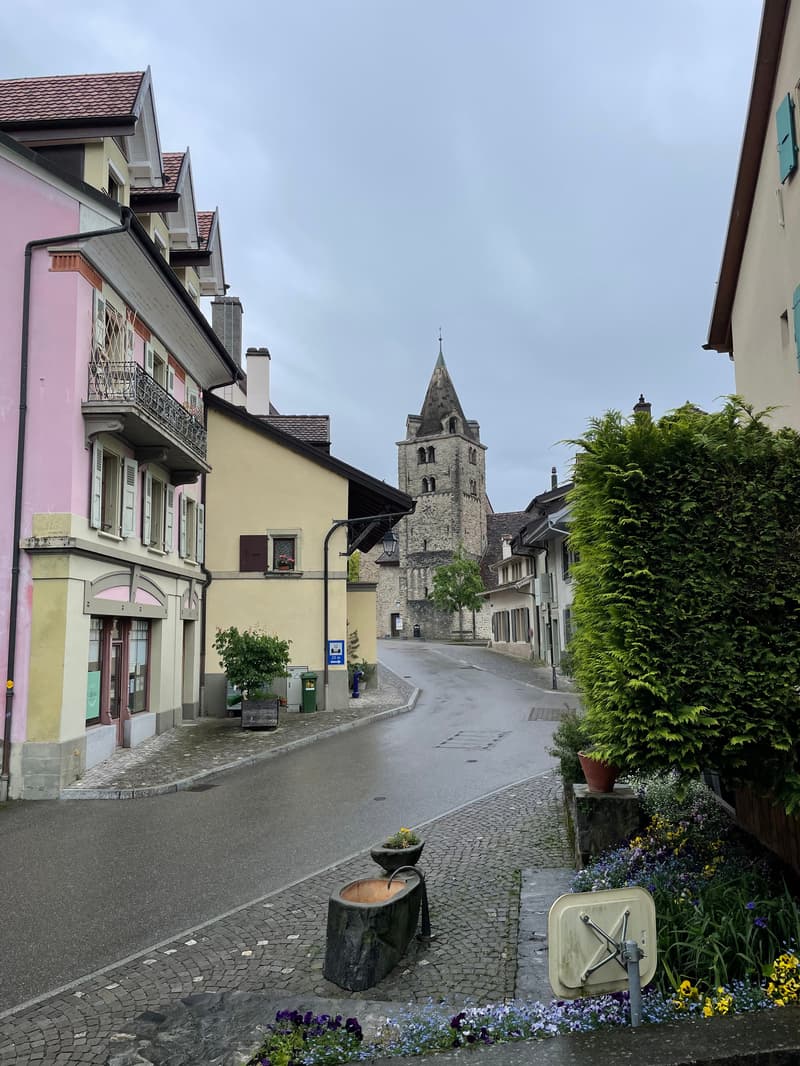 Charming 3-room apartment in Corsier-sur-Vevey (7)