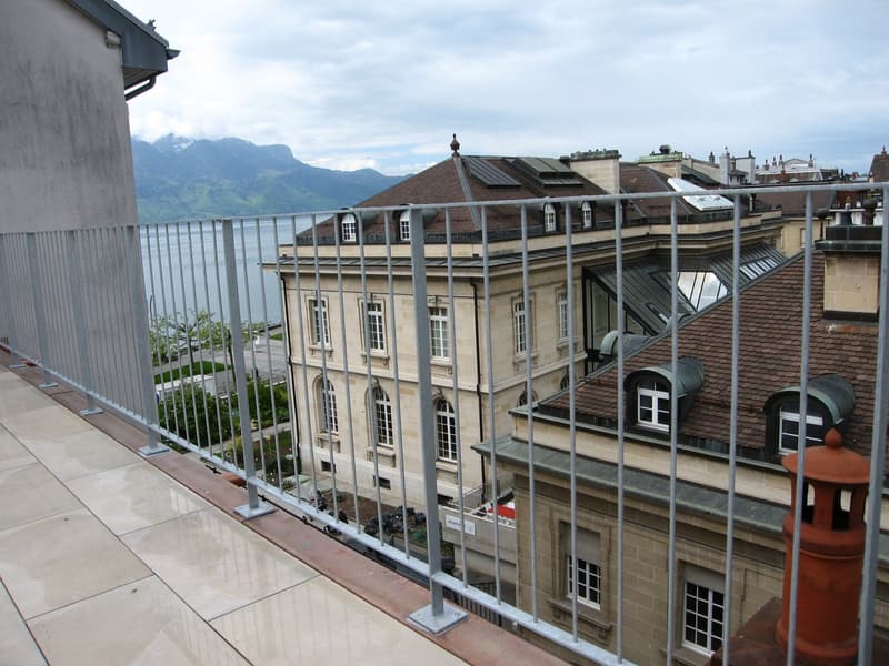 A LOUER - VEVEY (13)