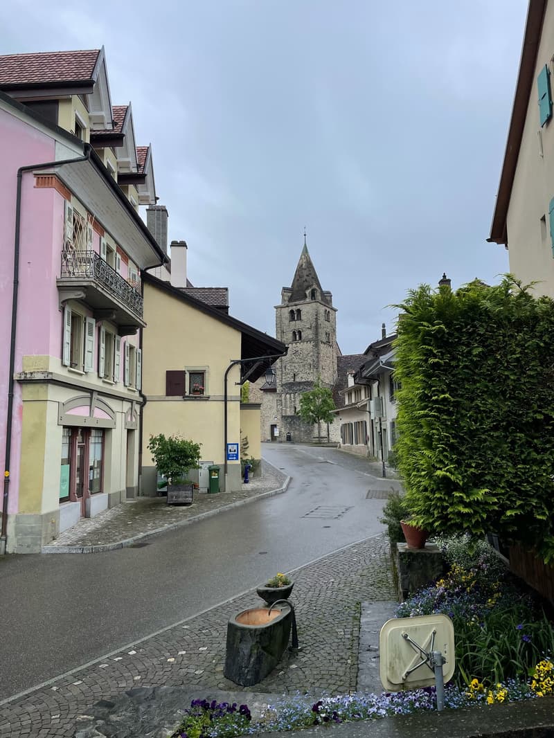 Charmant appartement de 3 pièces à Corsier-sur-Vevey (7)