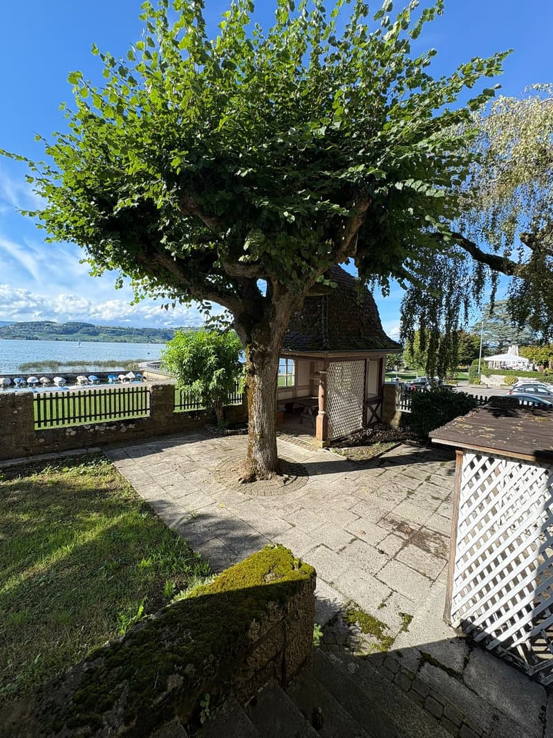 Patio with a view of the lake, a small cabin with a fence, and a tree in the middle.