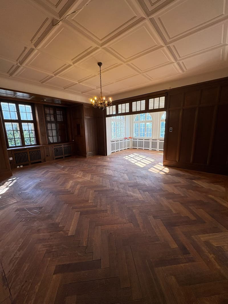Historische Villa am Murtensee (3)