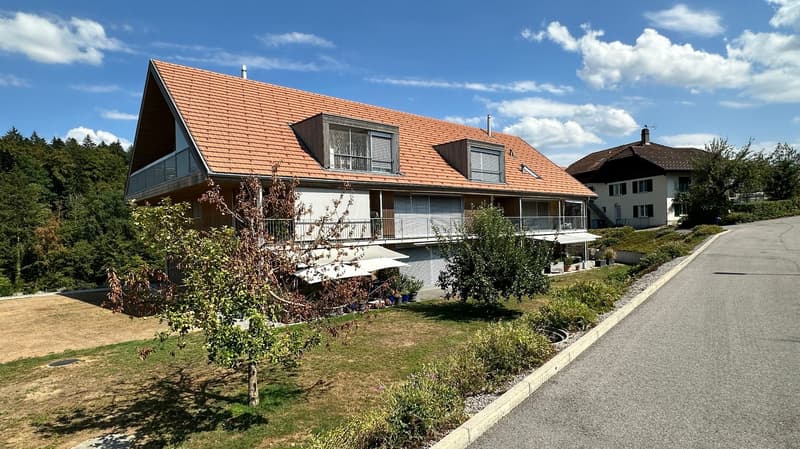 Modern and well-maintained 2.5-room apartment in Rapperswil/BE (1)