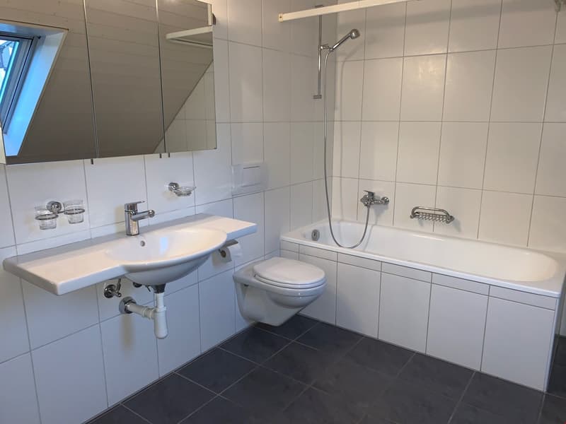 Spacious 3.5-room attic apartment with wonderful views! (12)