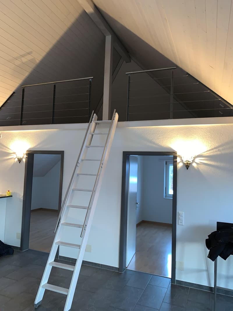 Spacious 3.5-room attic apartment with wonderful views! (8)
