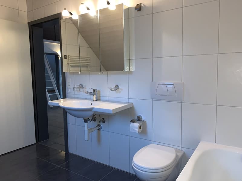 Spacious 3.5-room attic apartment with wonderful views! (13)