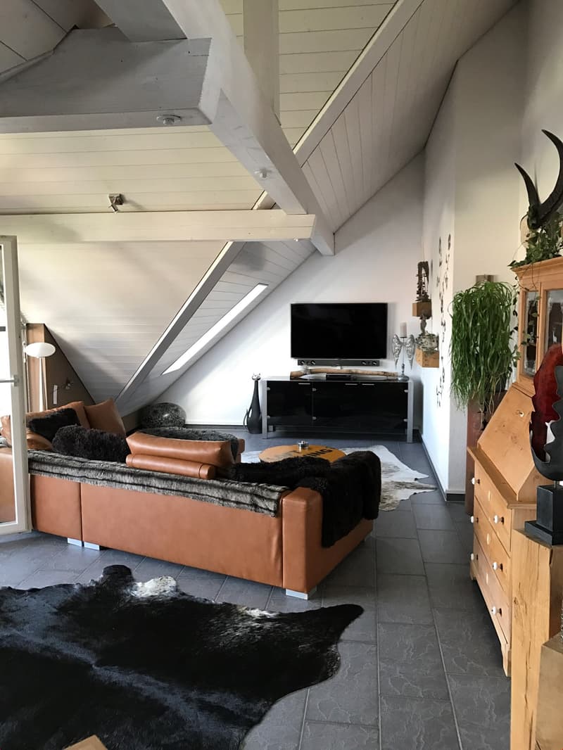 Spacious 3.5-room attic apartment with wonderful views! (3)