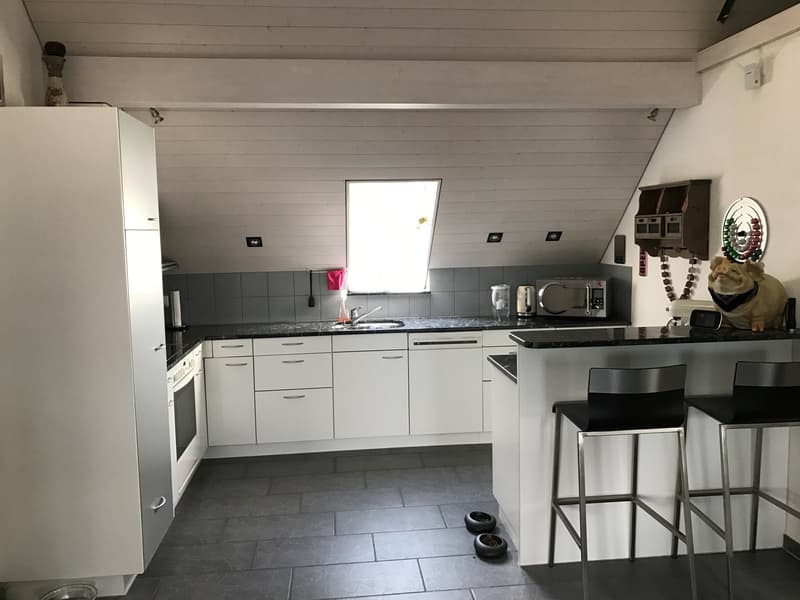 Spacious 3.5-room attic apartment with wonderful views! (9)