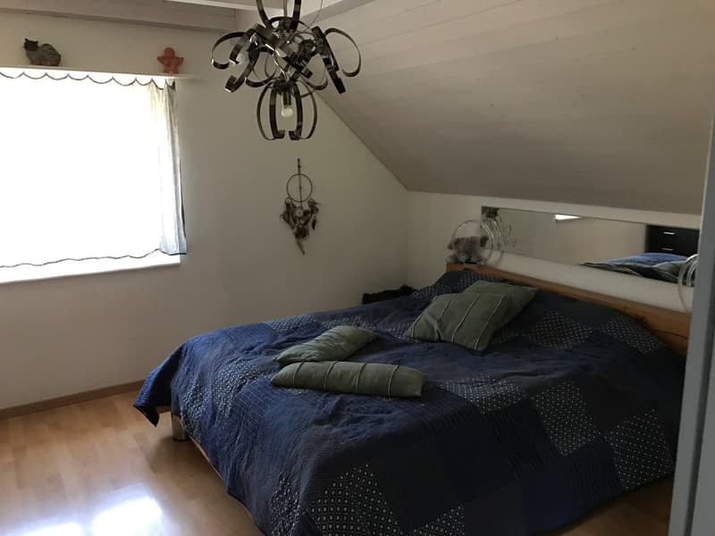 Spacious 3.5-room attic apartment with wonderful views! (14)