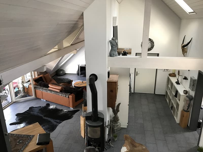 Spacious 3.5-room attic apartment with wonderful views! (7)