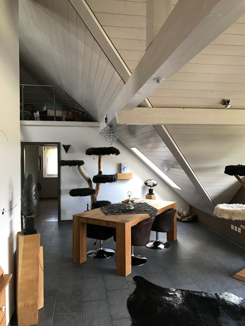 grosszügige 3.5-Zi-Dachwohnung mit wunderbarer Aussicht! (6)