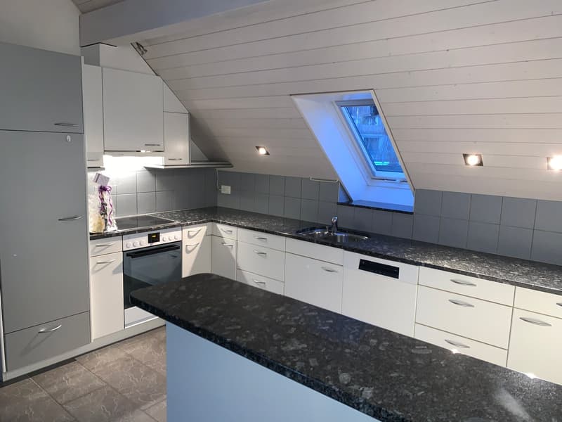 grosszügige 3.5-Zi-Dachwohnung mit wunderbarer Aussicht! (14)