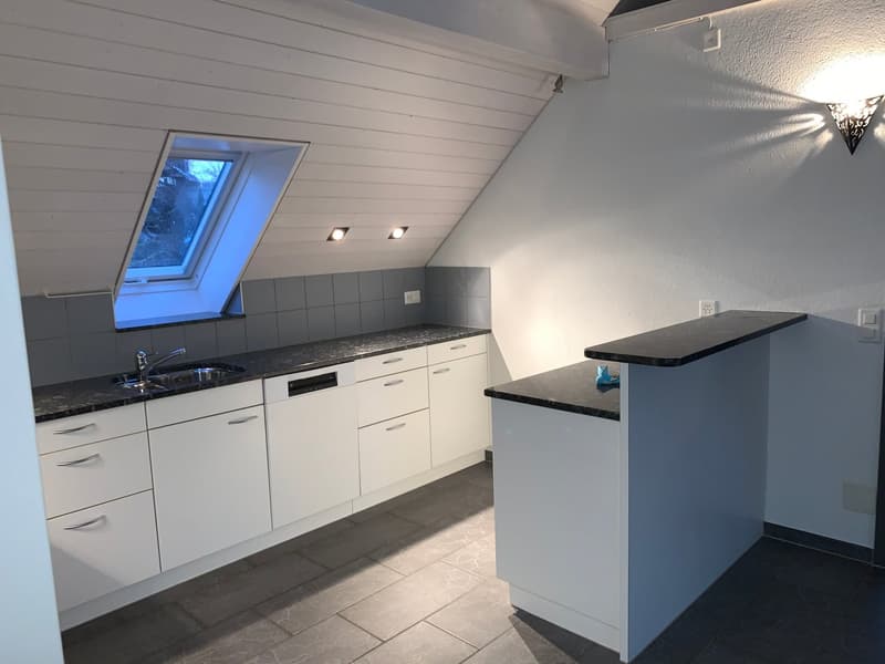 grosszügige 3.5-Zi-Dachwohnung mit wunderbarer Aussicht! (13)