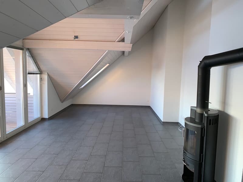 grosszügige 3.5-Zi-Dachwohnung mit wunderbarer Aussicht! (3)
