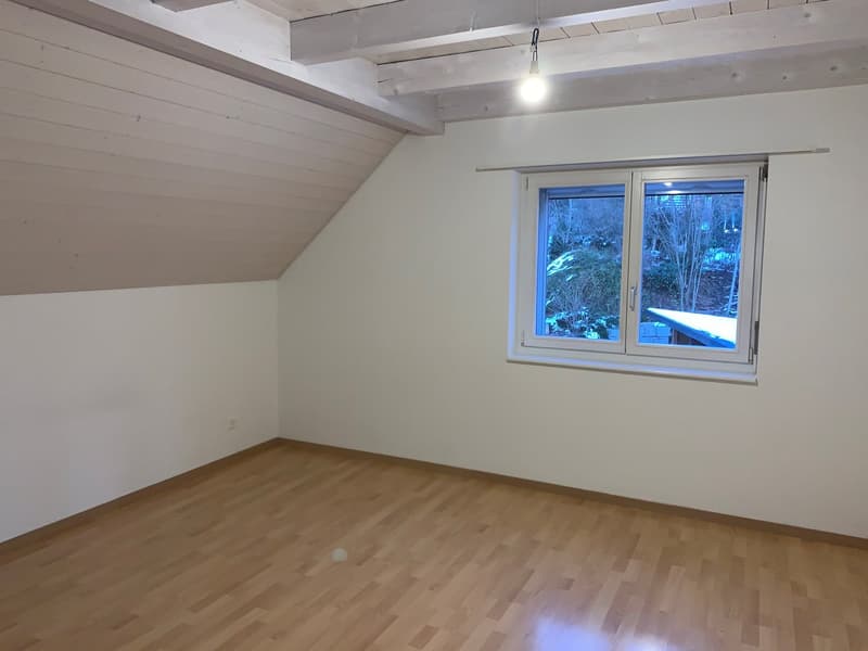 grosszügige 3.5-Zi-Dachwohnung mit wunderbarer Aussicht! (18)