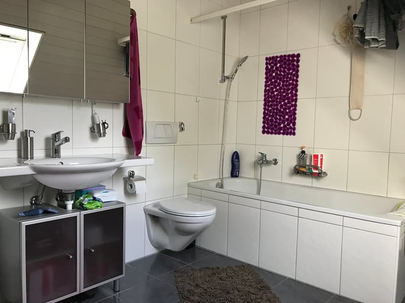 grosszügige 3.5-Zi-Dachwohnung mit wunderbarer Aussicht! (17)