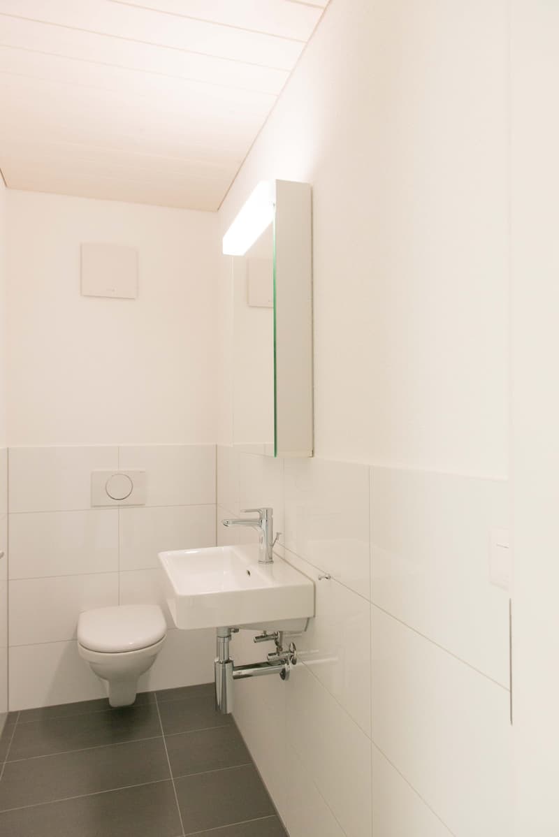 Grosszügige, moderne  4 1/2-Zimmer-Dachwohnung mit Galerie und Sicht ins Grüne in Rapperswil / BE (14)