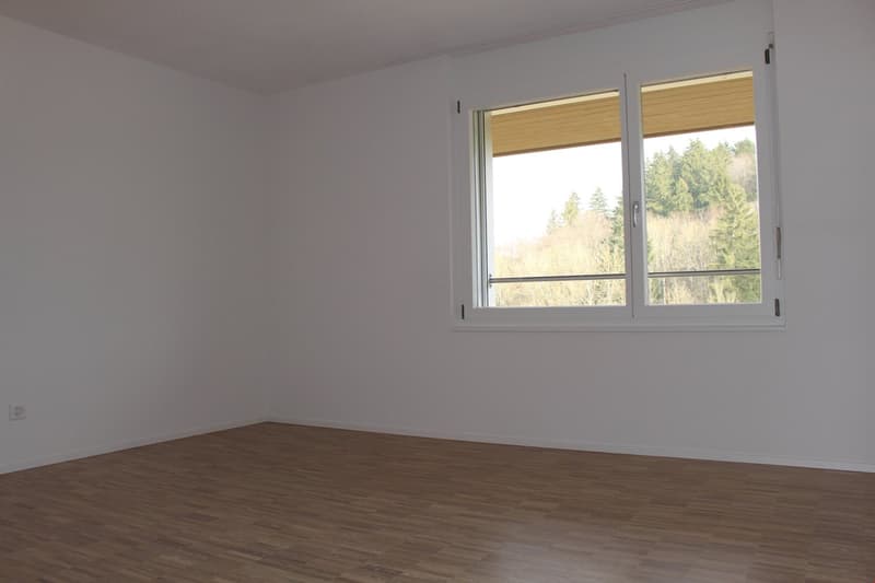 2 1/2-Zimmer-Wohnung in Rapperswil/BE mit grossem, sonnigem Sitzplatz (7)