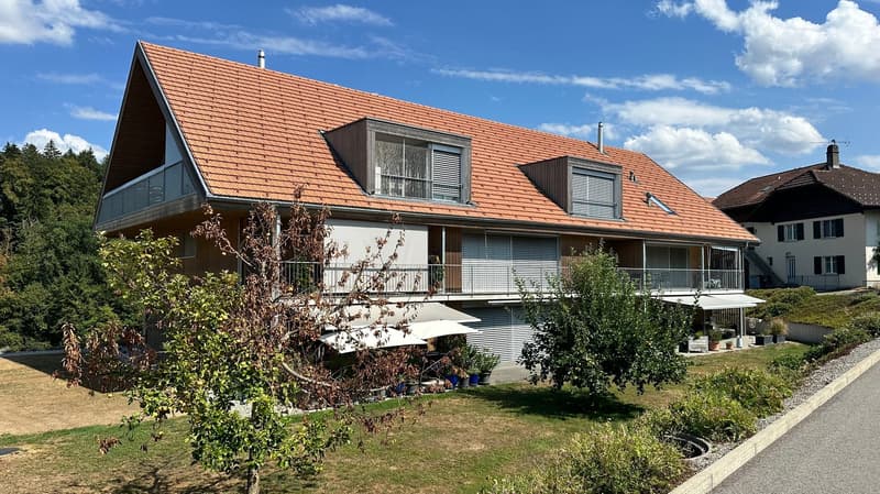 2 1/2-Zimmer-Wohnung in Rapperswil/BE mit grossem, sonnigem Sitzplatz (1)