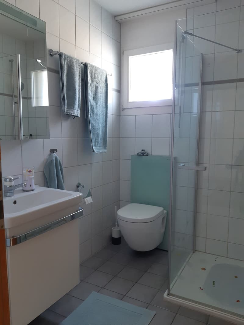 sehr charmante 3.5-Zi-Attika-Wohnung an der Aarbergstrasse 37, Lyss (6)