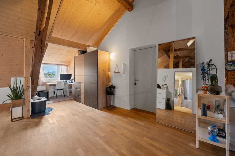 aussergewöhnlich, charmant, grosszügig: 2.5-Zi-Loft-Whg in Büren an der Aare (11)