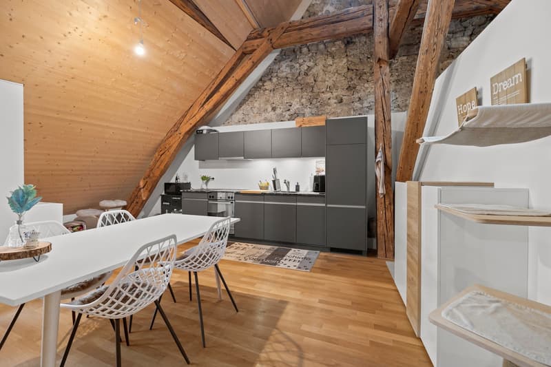 aussergewöhnlich, charmant, grosszügig: 2.5-Zi-Loft-Whg in Büren an der Aare (6)