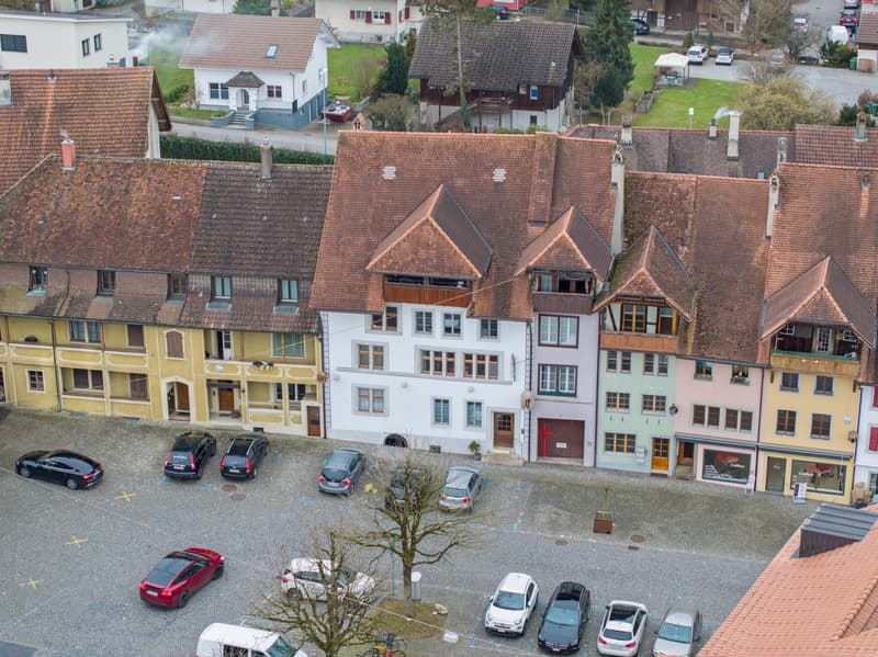 aussergewöhnlich, charmant, grosszügig: 2.5-Zi-Loft-Whg in Büren an der Aare (1)