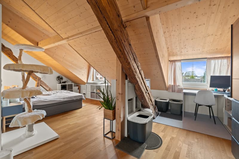 aussergewöhnlich, charmant, grosszügig: 2.5-Zi-Loft-Whg in Büren an der Aare (13)