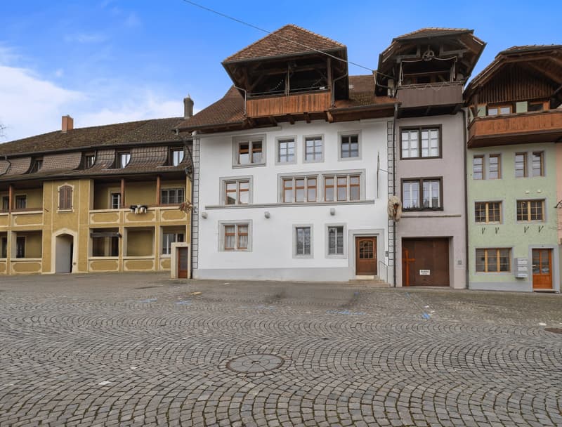 aussergewöhnlich, charmant, grosszügig: 2.5-Zi-Loft-Whg in Büren an der Aare (2)