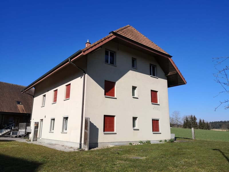 grosszügige und helle 4.5 Zi-Whg. im ländlichen Rapperswil/BE (1)