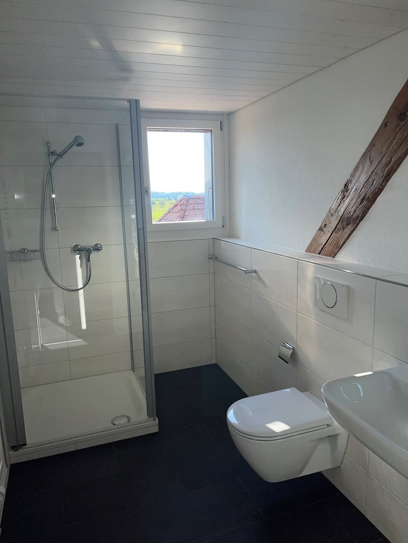 modern und hell: 3.5 Zimmer-Dachwohnung in Rapperswil/BE (6)