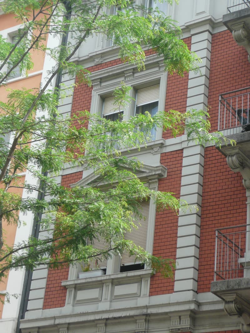 A multi-story brick building with ornate architectural details, including a decorative entryway and balconies with overhanging trees and foliage.