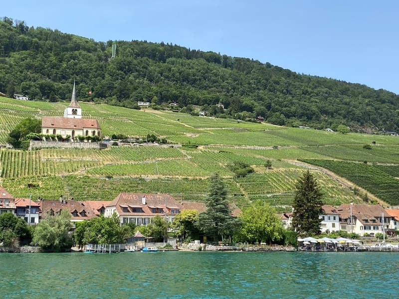 Wohnen im historischen Kreuz in Ligerz am Bielersee (3)