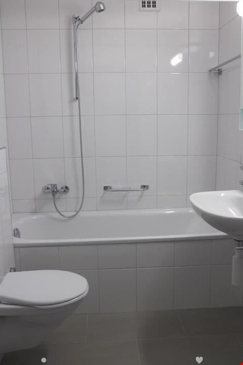 3 1/2 Zimmer in Biel (3)