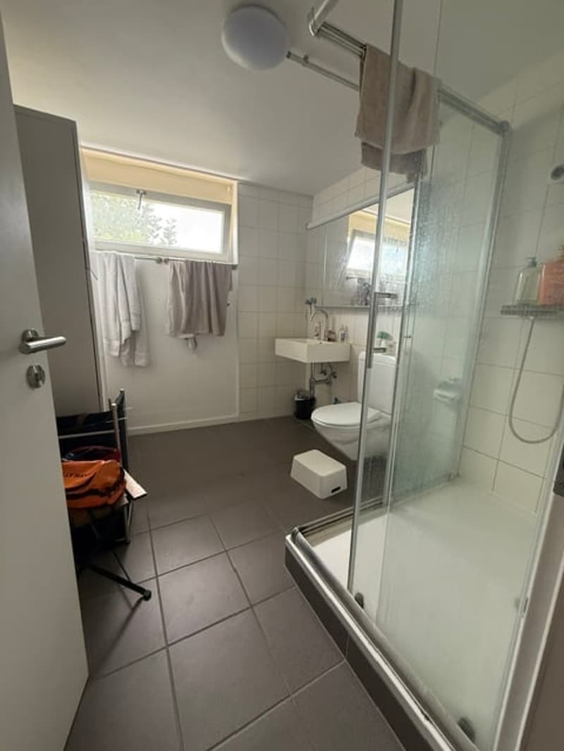 Grosse Wohnung / Loft Duplex zu vermieten in Nidau (6)