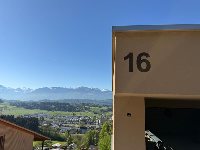 Spacious new building house with unobstructable view (5)