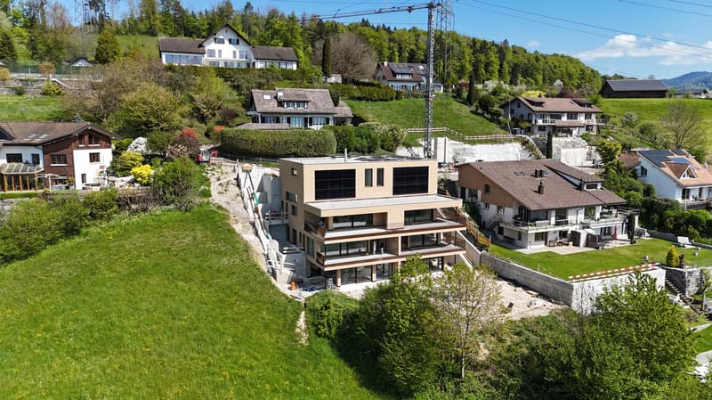 Spacious new building house with unobstructable view (2)