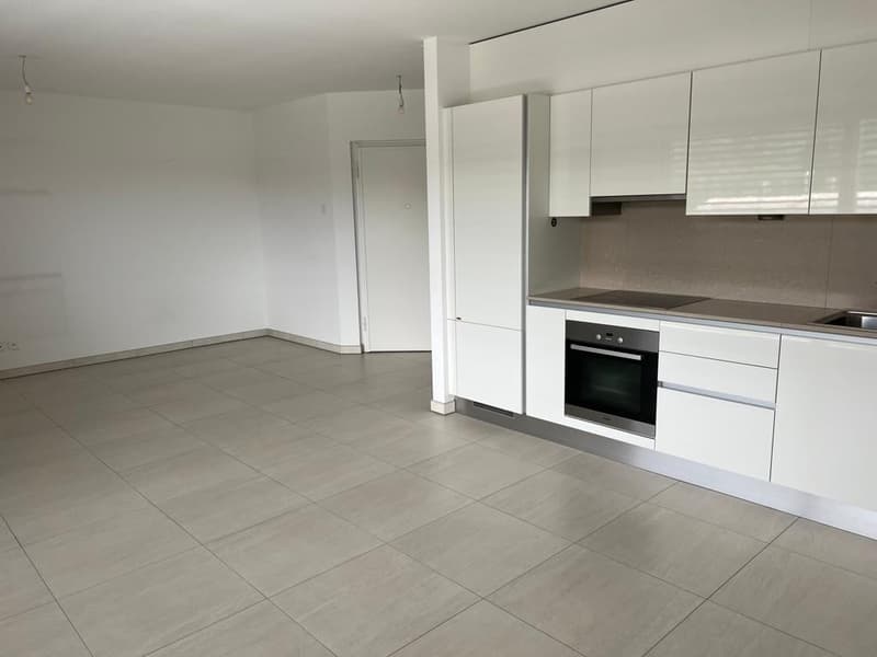 Moderno attico di 3.5 locali a Stabio con doppio balcone (1)
