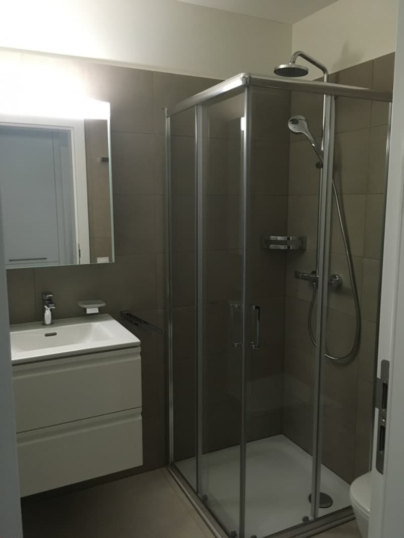 Bioggio - Appartement moderne de 2.5 pièces avec balcon (7)