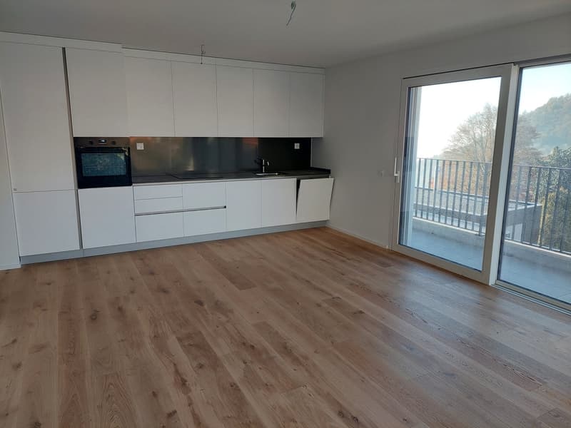 Cademario - LETZTE 3.5 Zimmer zur Verkauf (1)