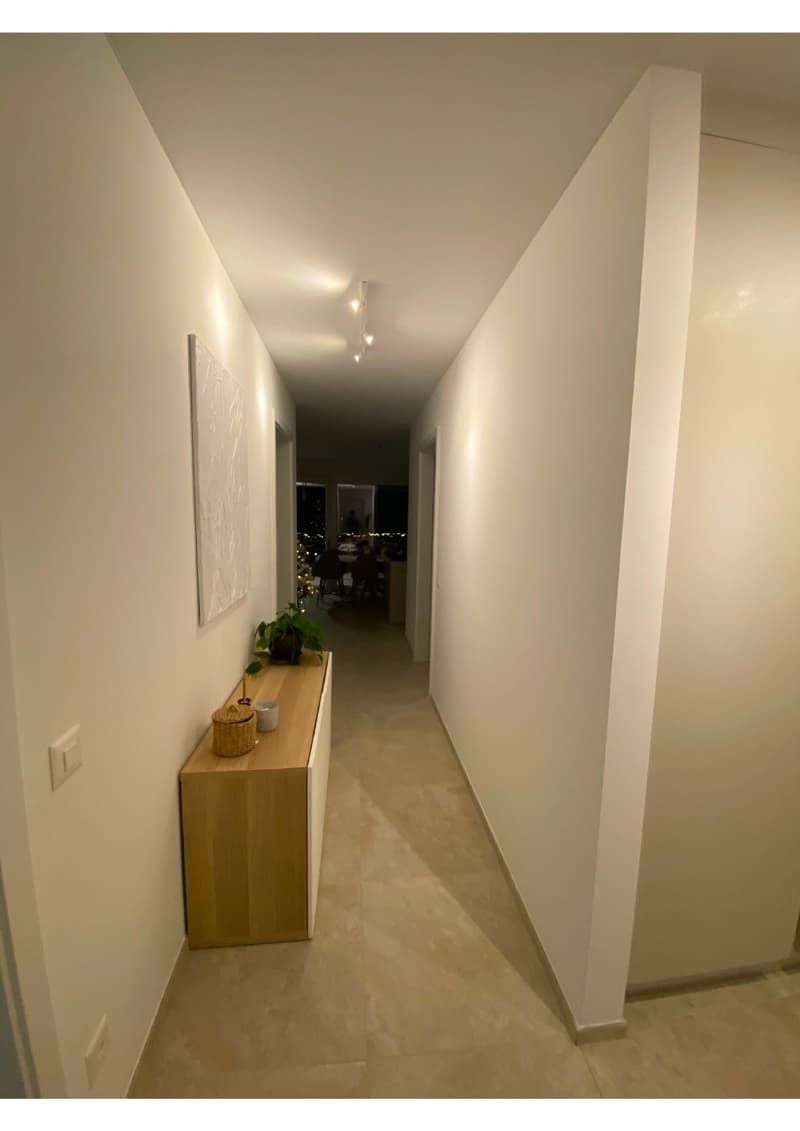 Lamone - affittasi bellissimo 3.5 locali (9)
