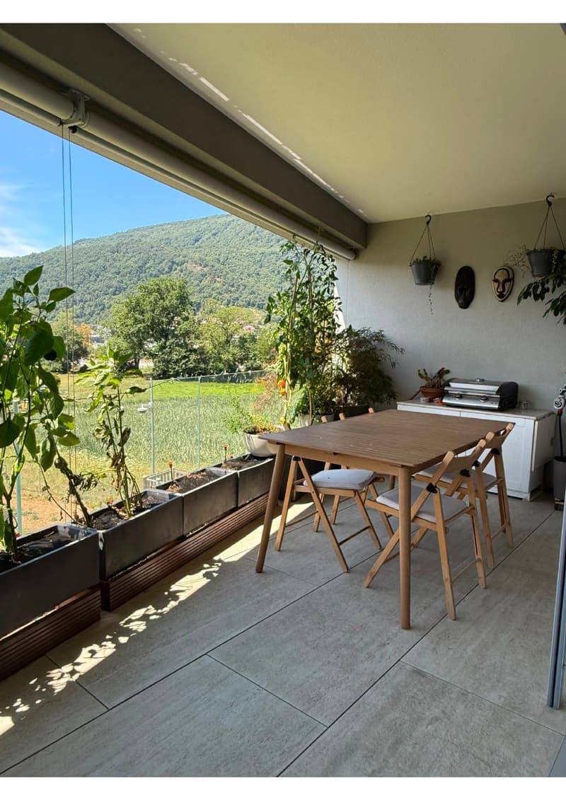 Lamone - affittasi bellissimo 3.5 locali (6)