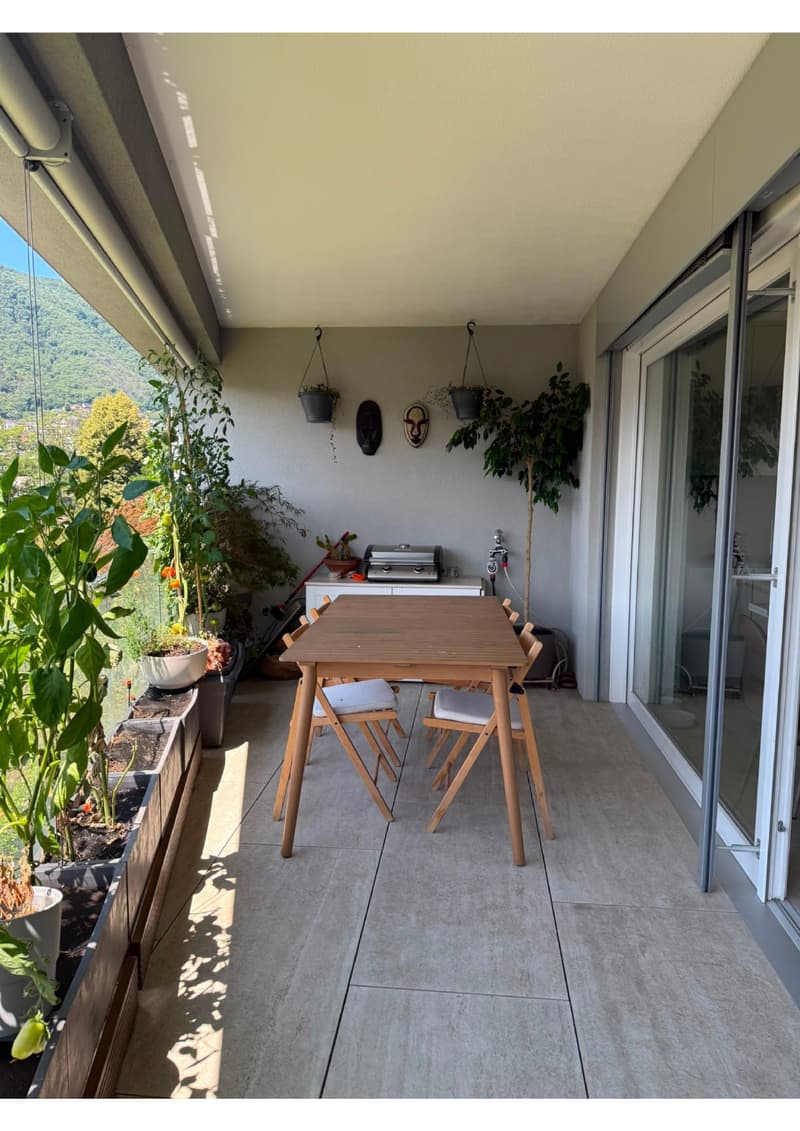 Lamone - affittasi bellissimo 3.5 locali (5)
