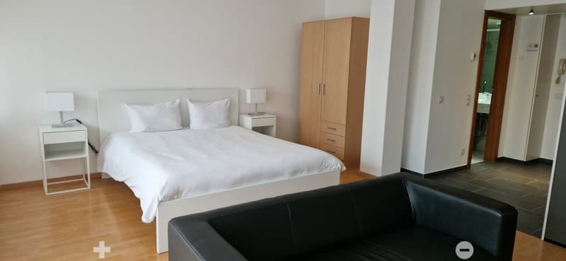 White bed, wooden cabinet, black leather sofa, wooden floor, lamps, white nightstands