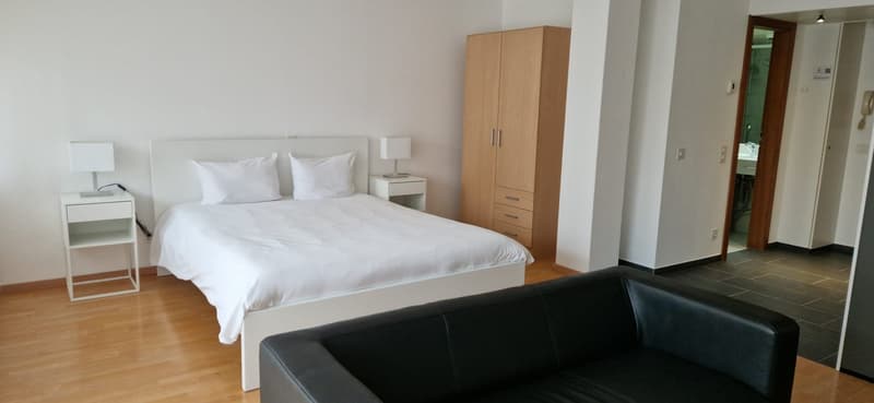 White bed, wooden cabinet, black leather sofa, wooden floor, lamps, white nightstands