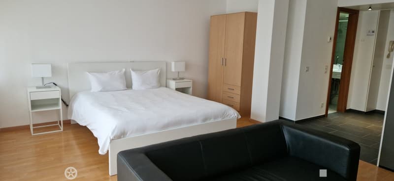 White bed, wooden cabinet, black leather sofa, wooden floor, lamps, white nightstands