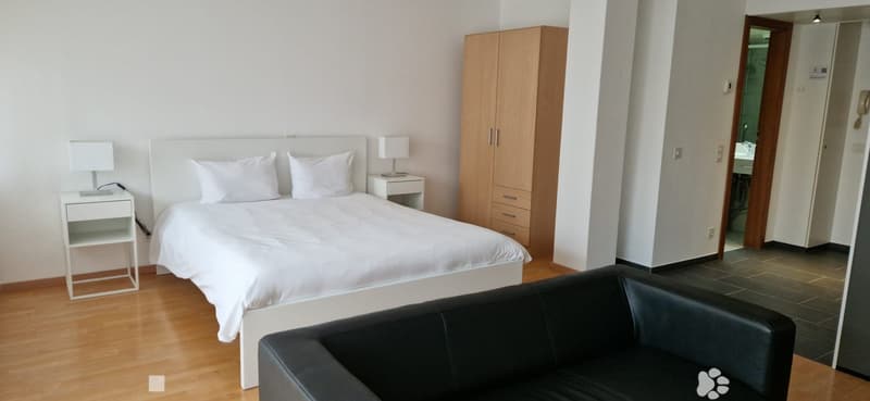 White bed, wooden cabinet, black leather sofa, wooden floor, lamps, white nightstands